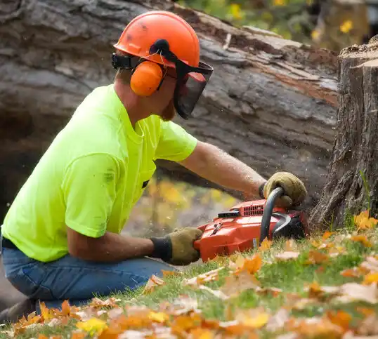 tree services Walker